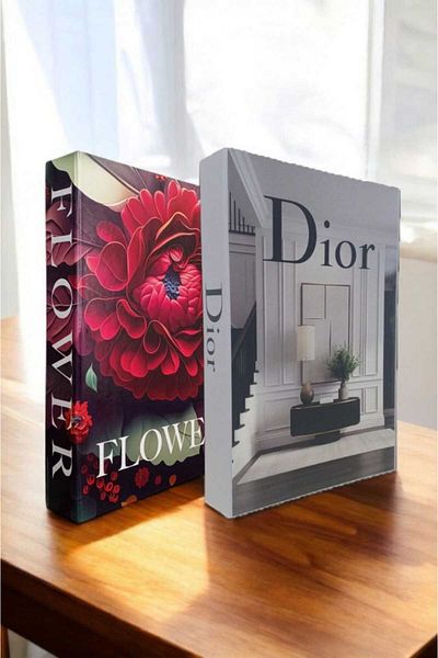 BayCazip Decorative Book Look Box Set of 2 Decorative Book Looking Box