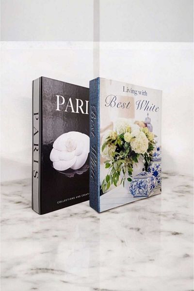 BayCazip Decorative Book Look Box Set of 2 Decorative Book Looking Box