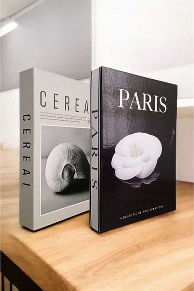 BayCazip Decorative Book Look Box Set of 2 Decorative Book Looking Box