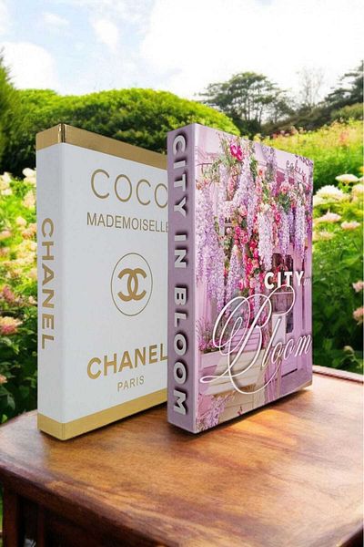 BayCazip Decorative Book Look Box Set of 2 Decorative Book Looking Box