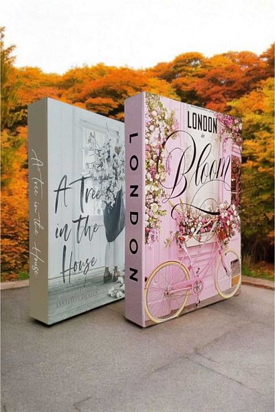 BayCazip Decorative Book Look Box Set of 2 Decorative Book Looking Box