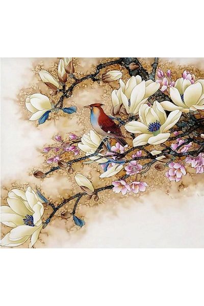 OZN AKSESUAR 5D Apple Bead Stone Mosaic Tapestry Kit 50X40Cm