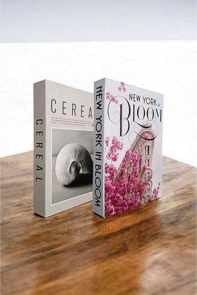 BayCazip Decorative Book Look Box Set of 2 Decorative Book Looking Box
