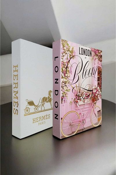 BayCazip Decorative Book Look Box Set of 2 Decorative Book Looking Box