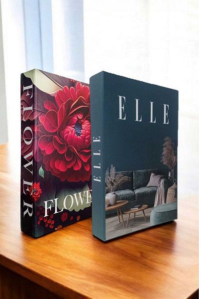 BayCazip Decorative Book Look Box Set of 2 Decorative Book Looking Box
