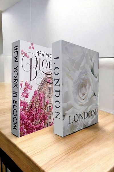 BayCazip Decorative Book Look Box Set of 2 Decorative Book Looking Box