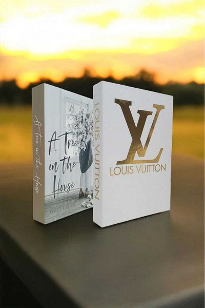 BayCazip Decorative Book Look Box Set of 2 Decorative Book Looking Box