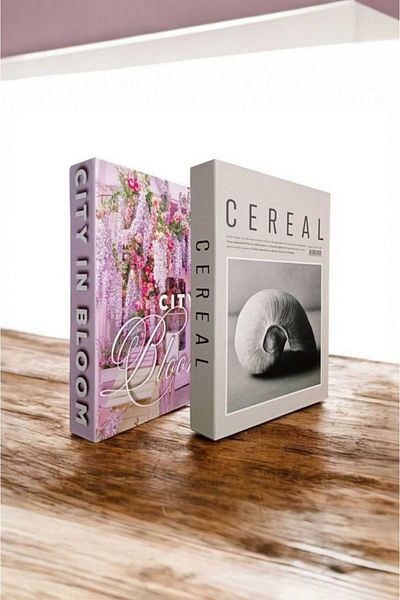 BayCazip Decorative Book Look Box Set of 2 Decorative Book Looking Box