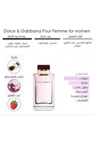 Dolce&Gabbana Delsey & Gabbana Femme for Women Eau de Parfum 100ml