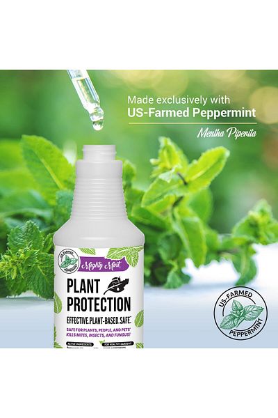 Mighty Mint بخاخ النعناع 32 أونصة - يحمي من سوس العنكبوت والحشرات والبراغيش والفطريات، ويتضمن قطعة قماش