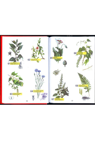 kitaptakipcileri İbni Sina Terkipler Şifalı Bitkiler Ansiklopedisi Bitki Resimleri Renkli, 848 Sayfa