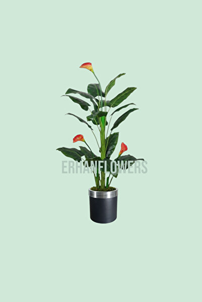 ERHAN FLOWERS ÇİÇEK & DEKORASYON Yapay Ağaç Gala Ağacı Salon Bitkisi 160cm 20...