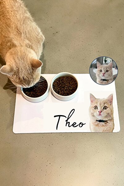 MatGo Pati Mama Kabı Altlığı Beslenme Matı 50x70cm Kedi Köpek Paspası Hayvana isme Özel Fotoğraflı