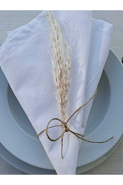 ALASEREN 6 Pack Fabric Napkin 40*40 cm 100% Cotton
