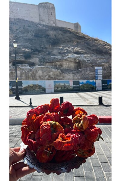 Gaziantep Kurutmalık (dolmalık) Tatlı Biber (50’li dizim)