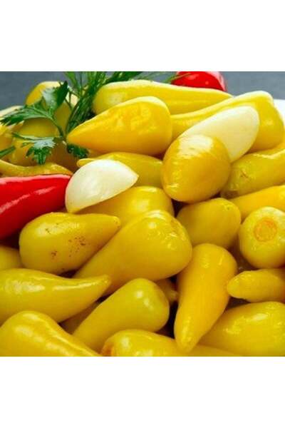 E-fidancim Ata Tohumları Geleneksel Sarı Tombul Turşuluk Sofralık Biberiye To...