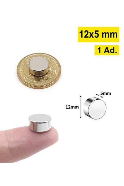 Dünya Magnet 12x5 Mm, Yuvarlak Neodyum Mıknatıs, Güçlü Magnet, (ÇAP: 12 MM, K...
