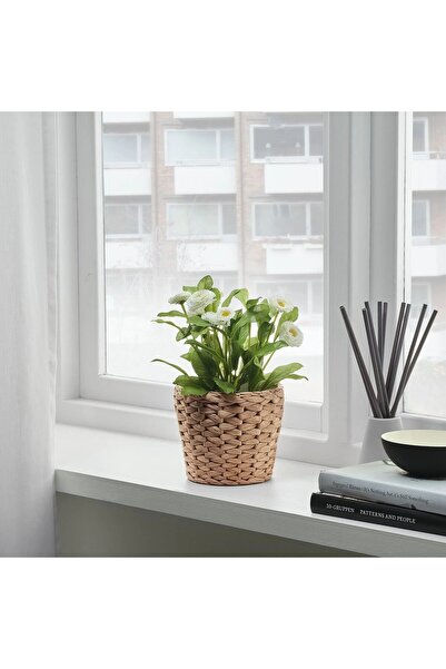 IKEA FRIDFULL Rattan Saksı, Su Sümbülü, 12 cm