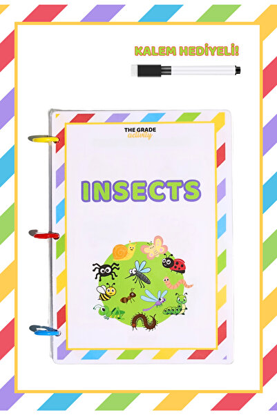The Grade مجموعة أنشطة الصيف التي أتعلمها من الحشرات الإنجليزية التعليمية مجم...