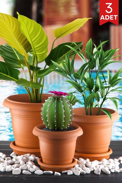 Nandy Home 3'Lü Antik Model Saksı Seti