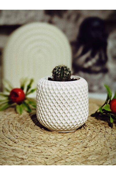 Akronistone Minimal Örgü Desen Sukulent Saksısı 6,5cm x 7 cm