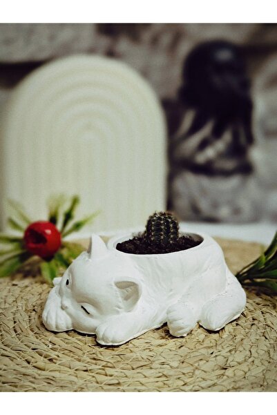 Akronistone Kedi Figürlü Sukulent Saksı 4cm x 11cm