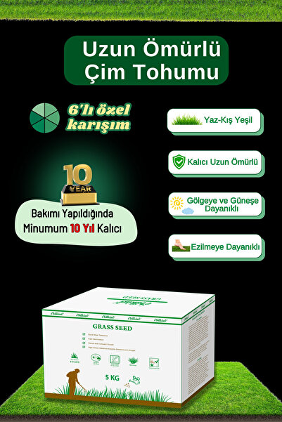 ebitkisel Çok Yıllık Çim Tohumu 5 Kg Uzun Ömürlü 6'lı Karışım Gölge ve Aşırı Güneşli Alan Uygun 4 Mevsim Yeşil