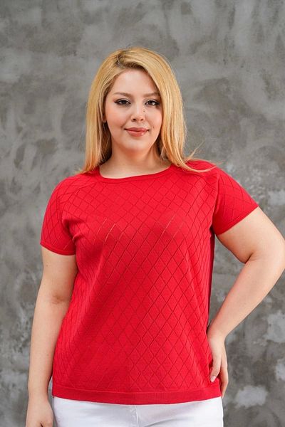 Bİ.GİYSEN Women's Large Size Red Crew Neck Argyle Lycra Cold Thread Knit Thin Knitwear Blouse