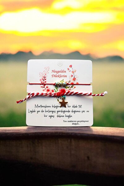 AYMETA Marteniçka Lucky Bracelet