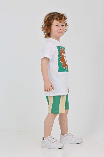 yns coolstar Unisex Model Lion Patterned Green Striped Summer Top and Bottom Set