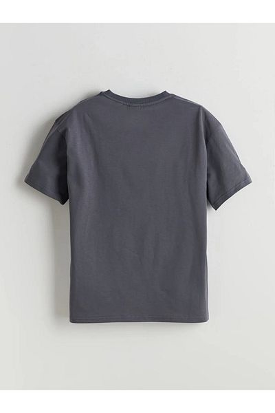 LC Waikiki Lcw Kids Gray Crew Neck Basic Boy's T-Shirt