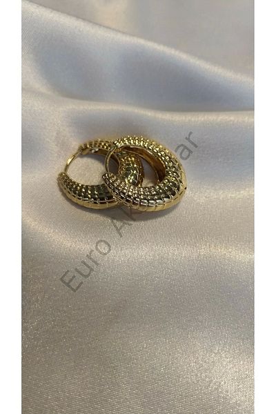 stainless steell Gold Curved Hoop Steel Earrings