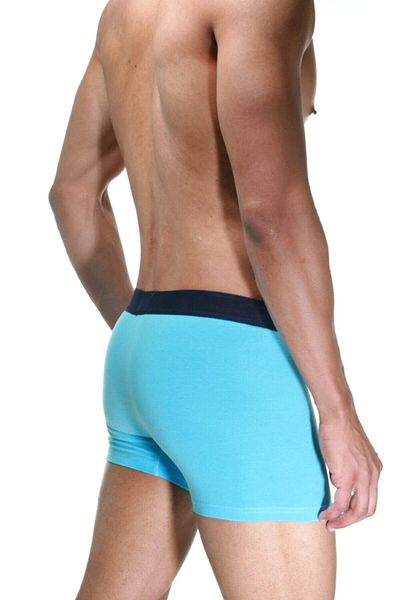 bazaar-turkey all you need Men's Blue Classic Boxer 2105