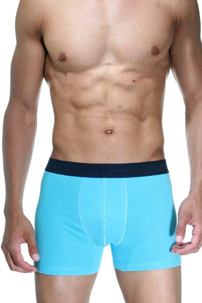 bazaar-turkey all you need Men's Blue Classic Boxer 2105