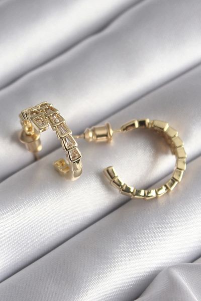Clariss Brass Silver Color Zircon Stone Snake Model Women's Earrings