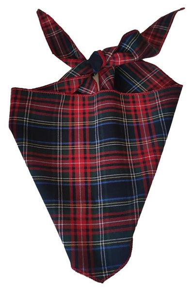 Kostüm Sarayı Scarf |   Cowboy Scarf |   Lumberjack Patterned Scarf