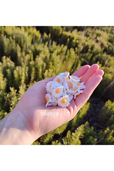 Nuasya 6 Daisy Buckle