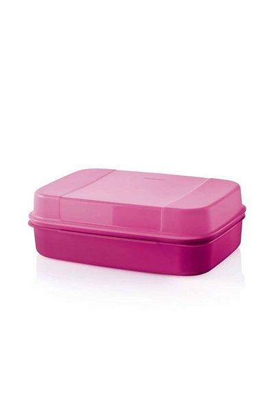 Tupperware 2.4 Lt New Colorful Storage Container - F20