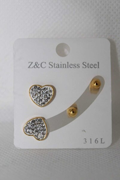 LuxeGem طقم أقراط من الفولاذ المقاوم للصدأ 316L على شكل قلب من الأحجار