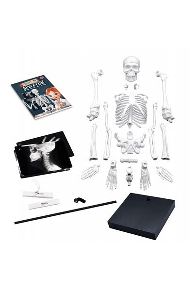 Buki France Human Body Skeleton Model 85 Cm