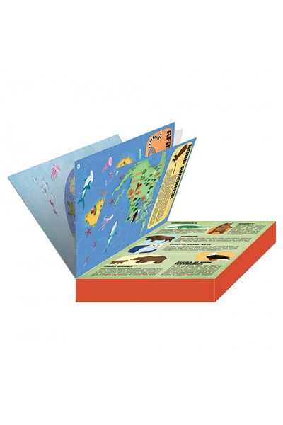 SASSI Know and Explore - The Animal World