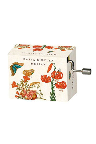 Fridolin Flasneta Maria Sibylla Merian - Fluturi Ceaikovski Walts of flowers