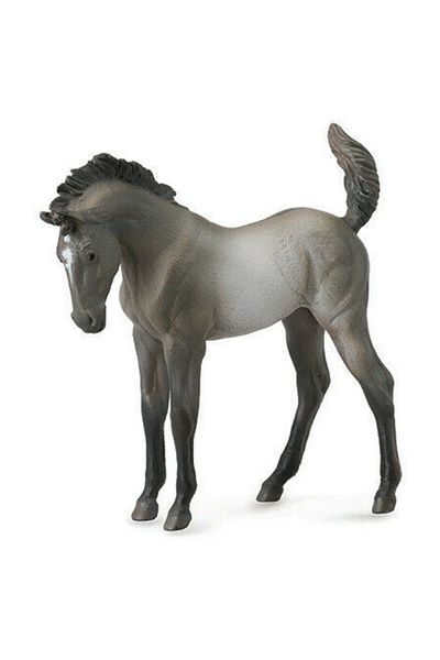 Collecta Μωρό Grulla Άγριο Άλογο