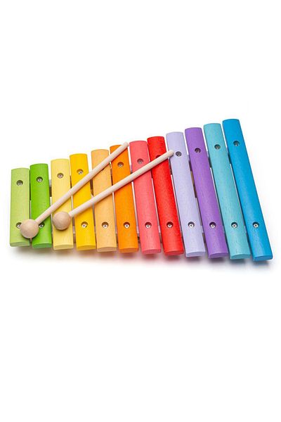 BIGJIGS Toys Xilofon Din Lemn