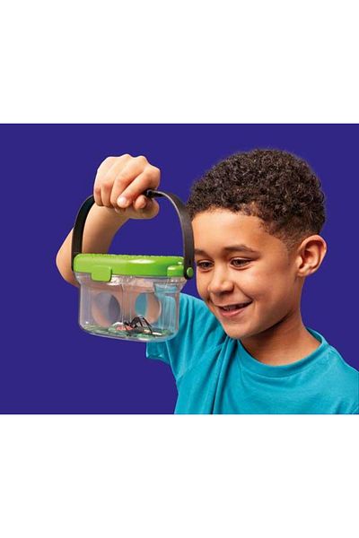 Brainstorm Observatorul Pentru Insecte