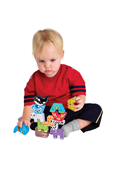 Little Learner Matching Game - Animal Kingdom