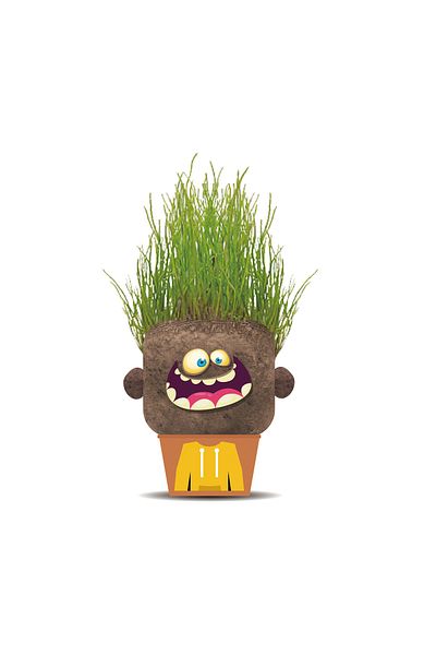 Hape Grass Head Doll - Happy Hank