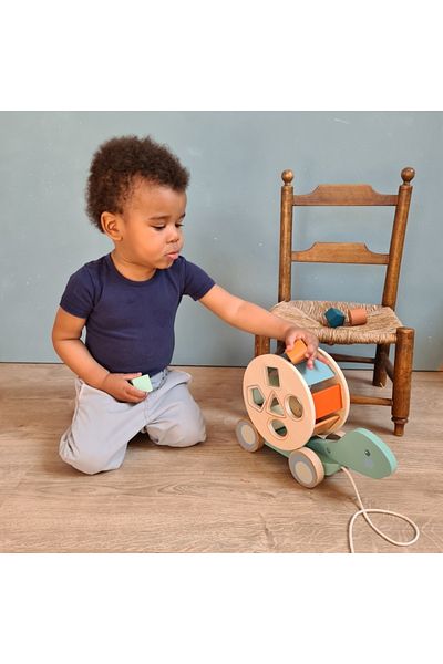 Egmont Toys Egmont Geometric Shape Pull Toy