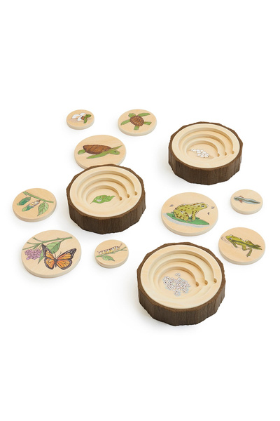Guidecraft Ciclurile Vietii Broasca,fluture,broasca Testoasa,set 3 Puzzle Edu...