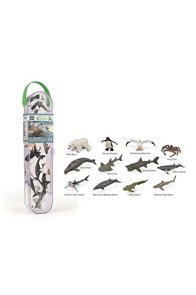 Collecta Box Of 12 Hand-painted Minifigures Sea Animals 3 A1211